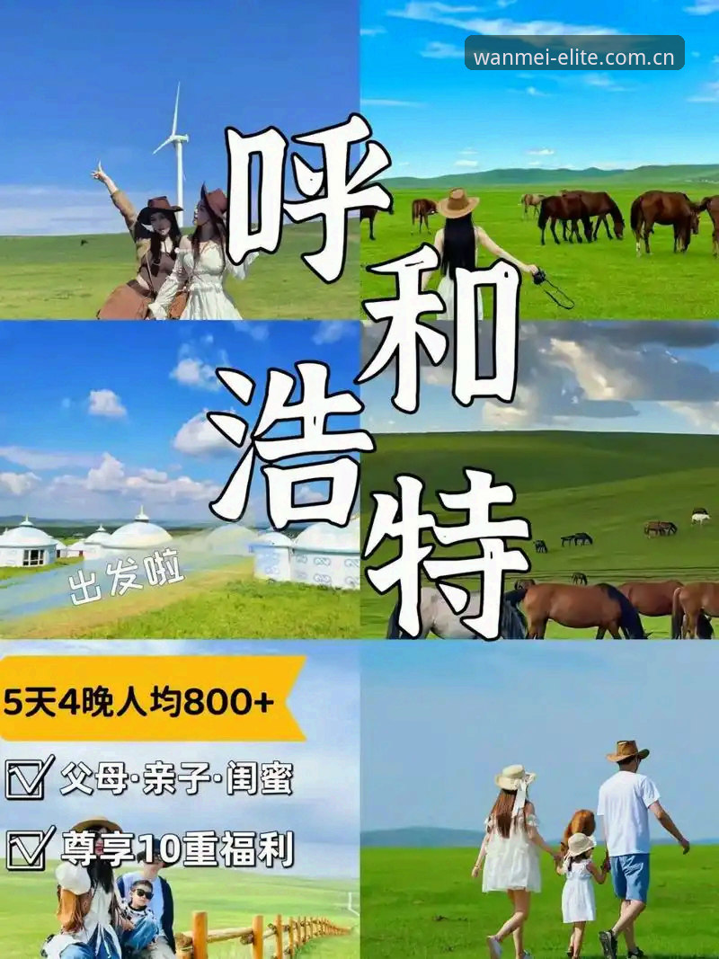 完美体育使用问题最新动态：v3.2版本升级后尊享服务登录与赛事数据兼容性全面解析